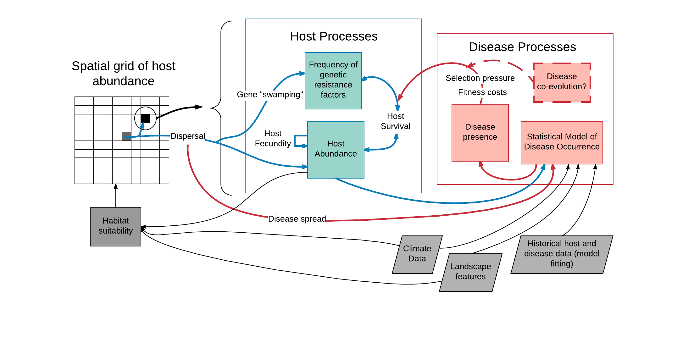 Schematic of plague model